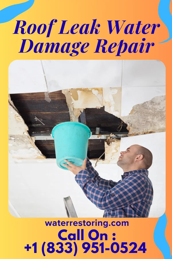 Roof Leak Water Damage Repair in The Hammocks, FL